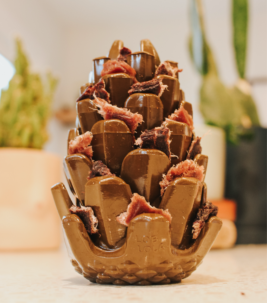 Loblolly Pinecone Puzzle Dog Toy filled with treats, designed for interactive play and mental stimulation. Durable, safe, and made in the USA.
