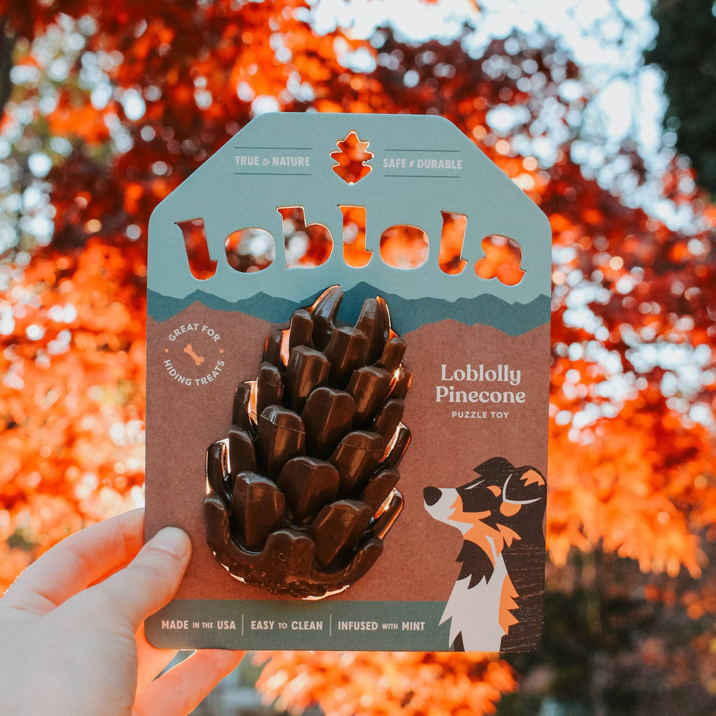Loblolly Pinecone Puzzle Dog Toy - an interactive and durable treat-dispensing toy for dogs. Made in the USA, non-toxic, and dishwasher-safe.
