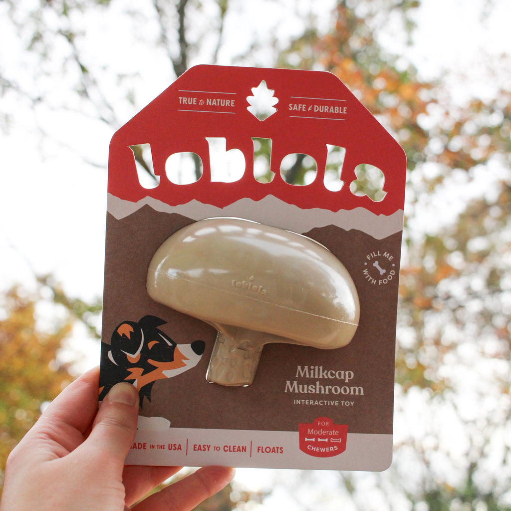 Milkcap Mushroom Interactive Dog Toy in packaging, designed for moderate chewers. Durable, dishwasher-safe, and perfect for slow feeding and enrichment.